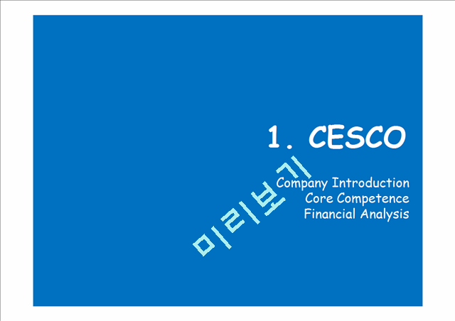 CESCO In Thailand(HOST COUNTRY,SWOT,FDI,CONCLUSION)   (3 )